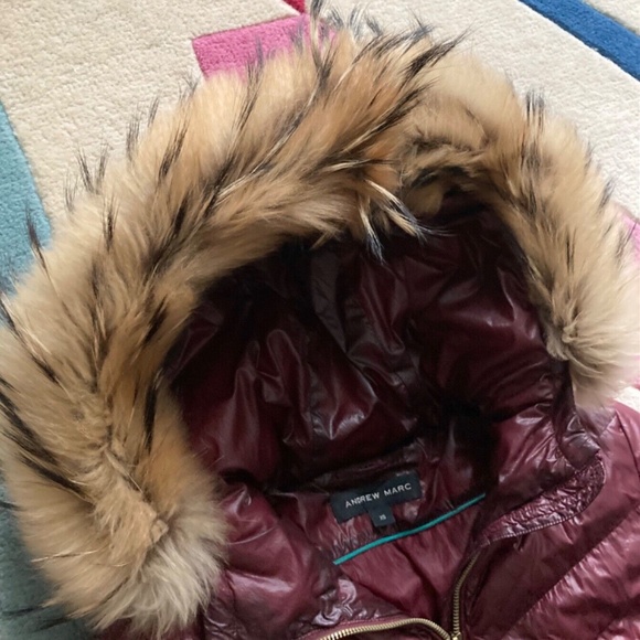 Andew Marc Rissa Burgundy Red Maroon Raccoon Fur Trim Hood Down Winter Coat XS - Picture 3 of 11